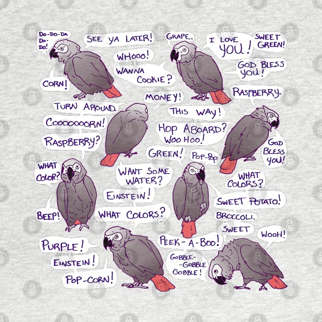 African Grey Parrot Einstein Funny Quotes by Einstein Parrot